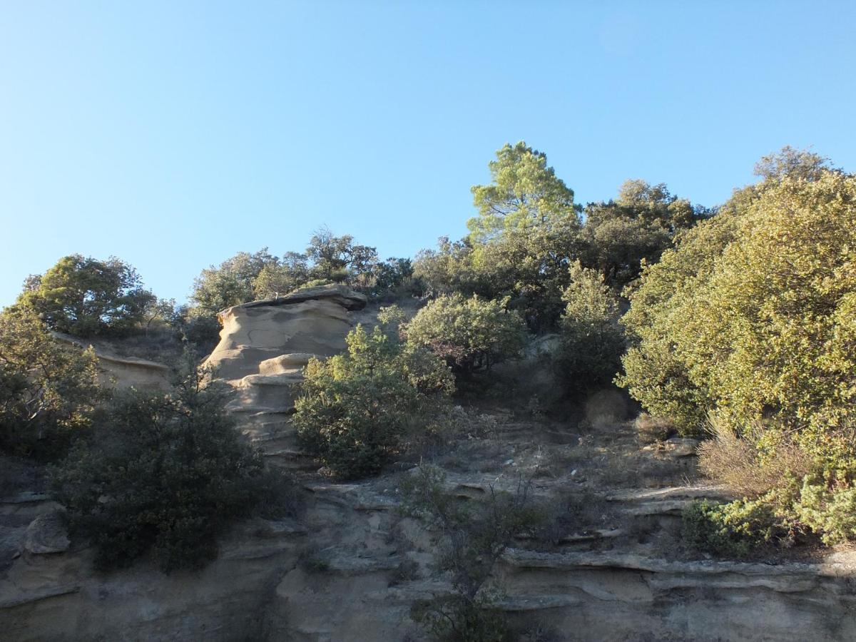 Une Ronce Sous Le Figuier Rousset-les-Vignes Екстер'єр фото
